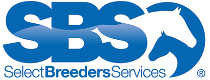SBS World Headquarters logo