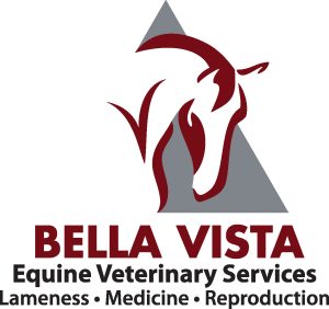 Bella Vista Equine Veterinary Services logo